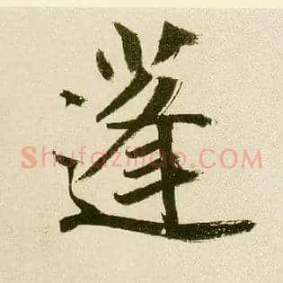 蓬
