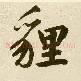 狸