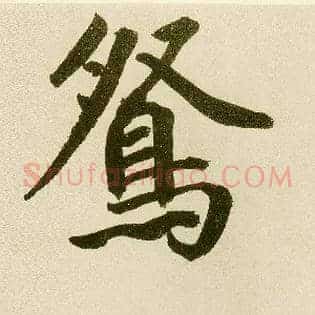 鸳