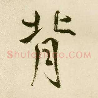 背