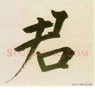 君