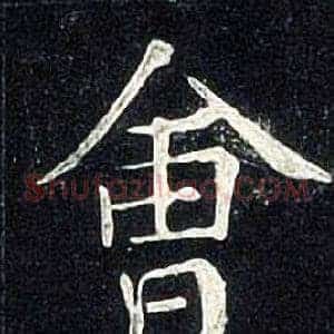 會