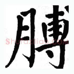 膊