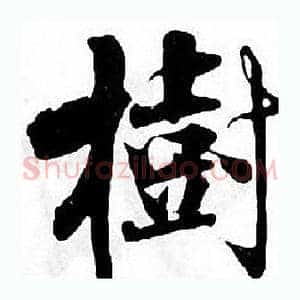 樹
