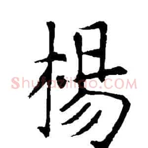 杨