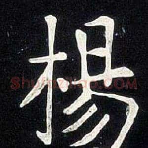 楊