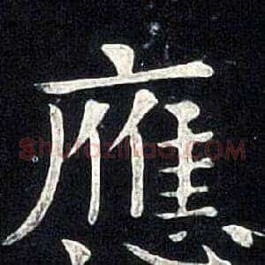 應