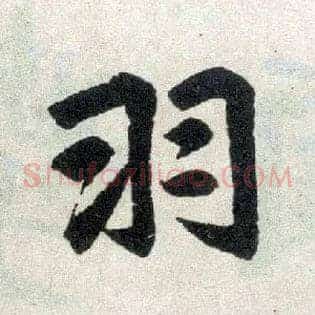 羽