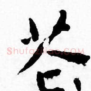 苍