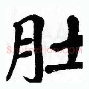 肚