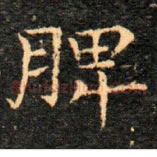 脾