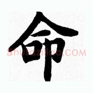 命