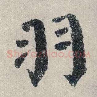 羽