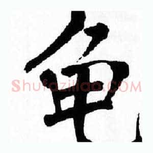 龟