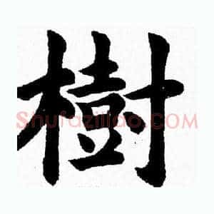 樹