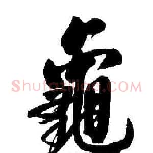 龜
