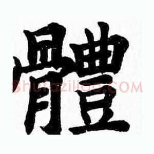 體