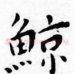 鲸