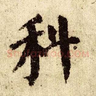 科
