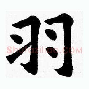 羽