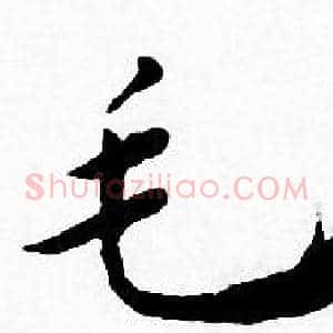 毛