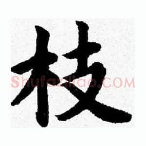 枝