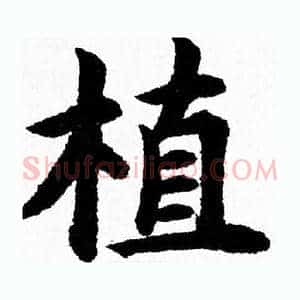 植