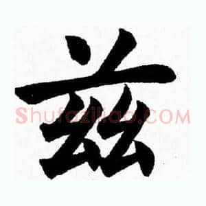 兹