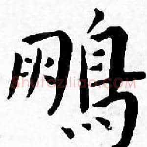 鹏