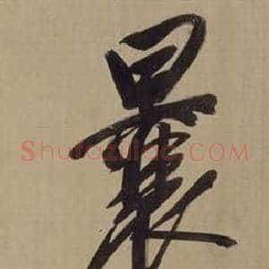 囊