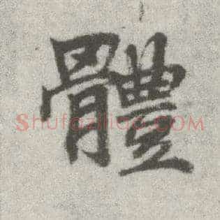 体