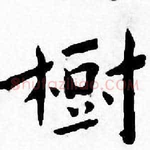 樹