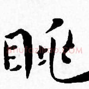 眺