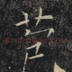 苞