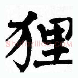 狸