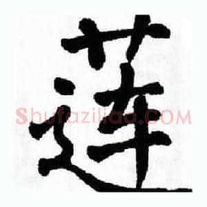 莲