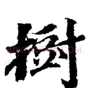 樹