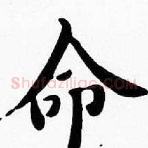 命