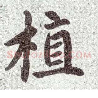 植