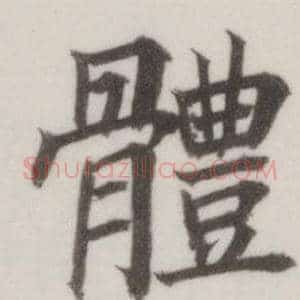 體
