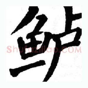 鲈