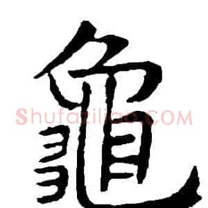 龜