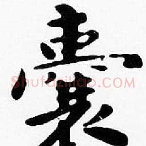 囊