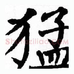 猛