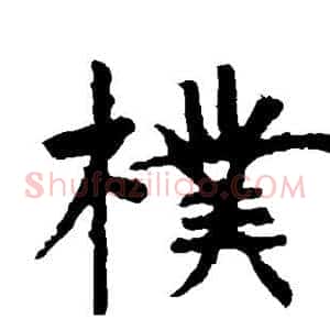 朴