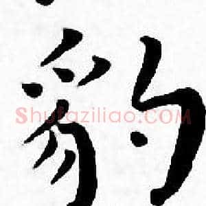 豹