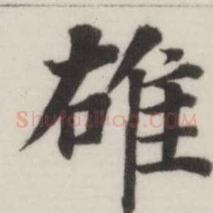雄