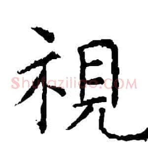 視