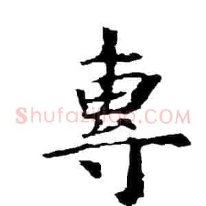 專