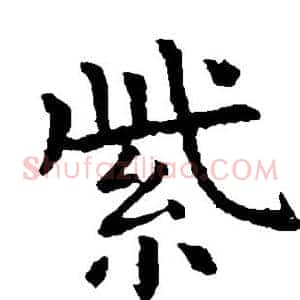 紫